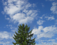 /album/fotogalerie/vs-402-jpg/